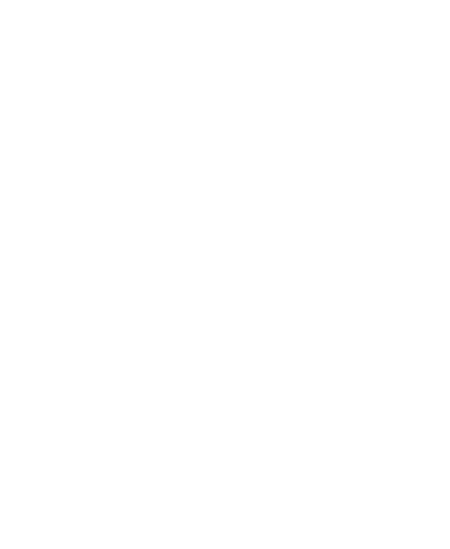 Neros logo